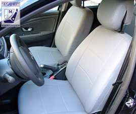 avtochehly kozha fluence 1