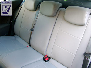 avtochehly kozha fluence 2